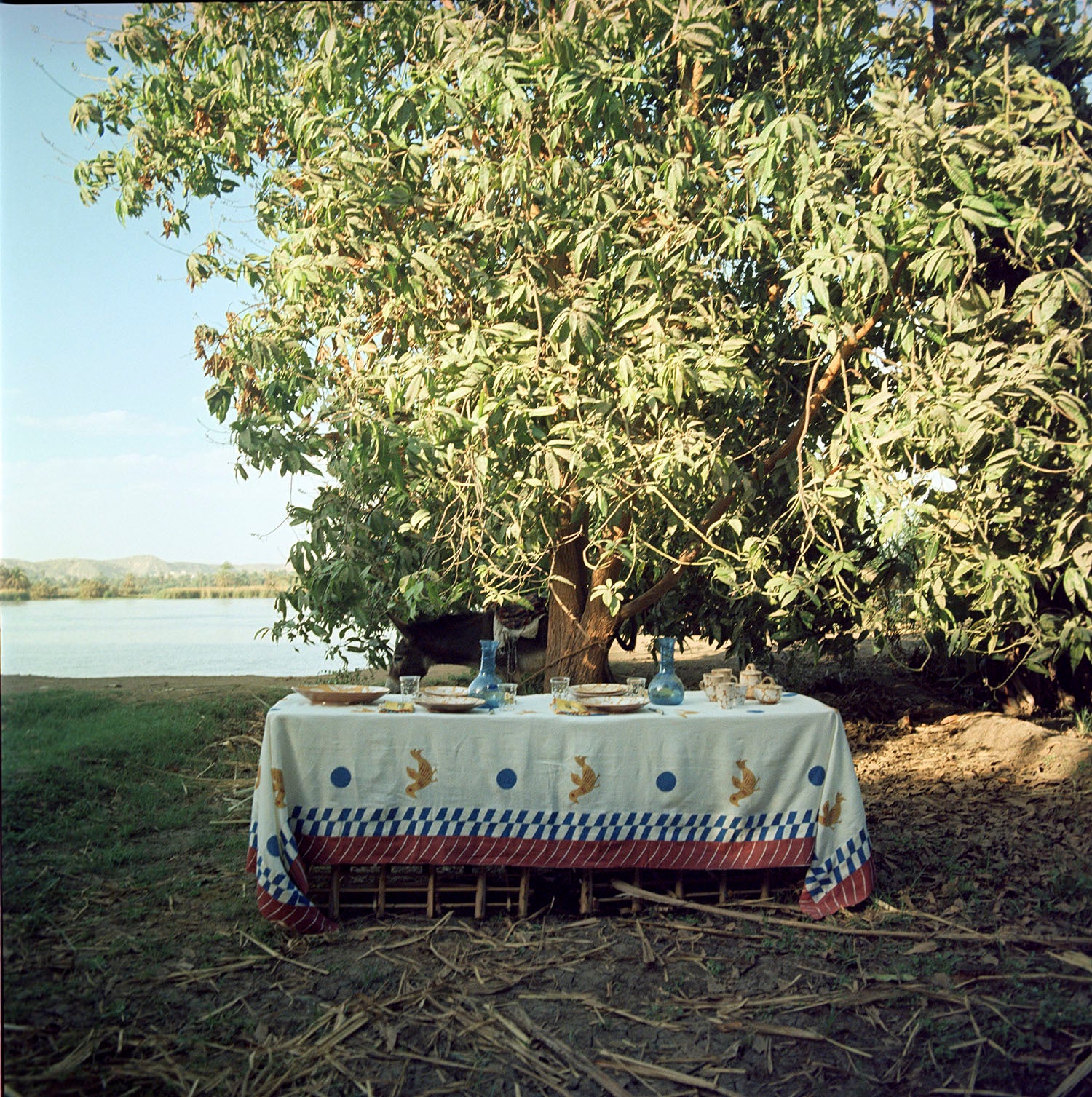 Dotty Bird Tablecloth